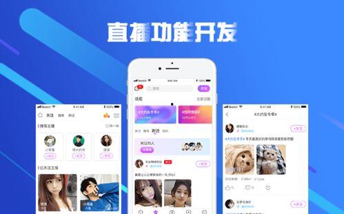 成人APP直播你懂的