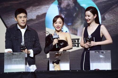 娱乐圈吃瓜汇总TXT,揭秘明星幕后故事与热点事件  第3张