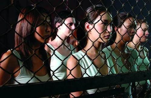 女特工电影,女特工的暗夜行动  第3张