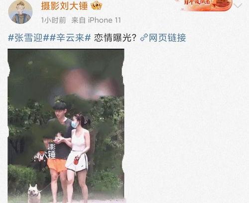 娱乐圈吃瓜劲爆视频,劲爆视频背后的惊人真相  第2张