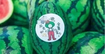 吃瓜看戏  第3张