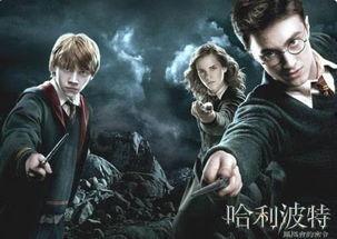 哈利波特电影全集免费,魔法世界奇幻之旅 第3张 哈利波特电影全集免费,魔法世界奇幻之旅 第3张