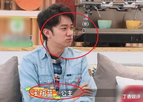 娱乐吃瓜王祖蓝是谁,王祖蓝的趣味人生  第2张